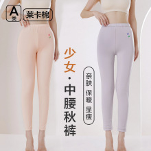莱卡秋裤女a类内穿衬裤线裤修身青少年女高腰打底裤纯棉保暖裤子