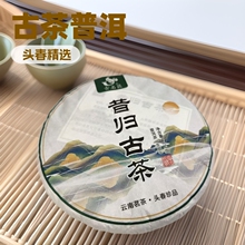厂家直供高品质云南普洱茶生茶饼茶昔归古树春茶云南特产茶叶批发