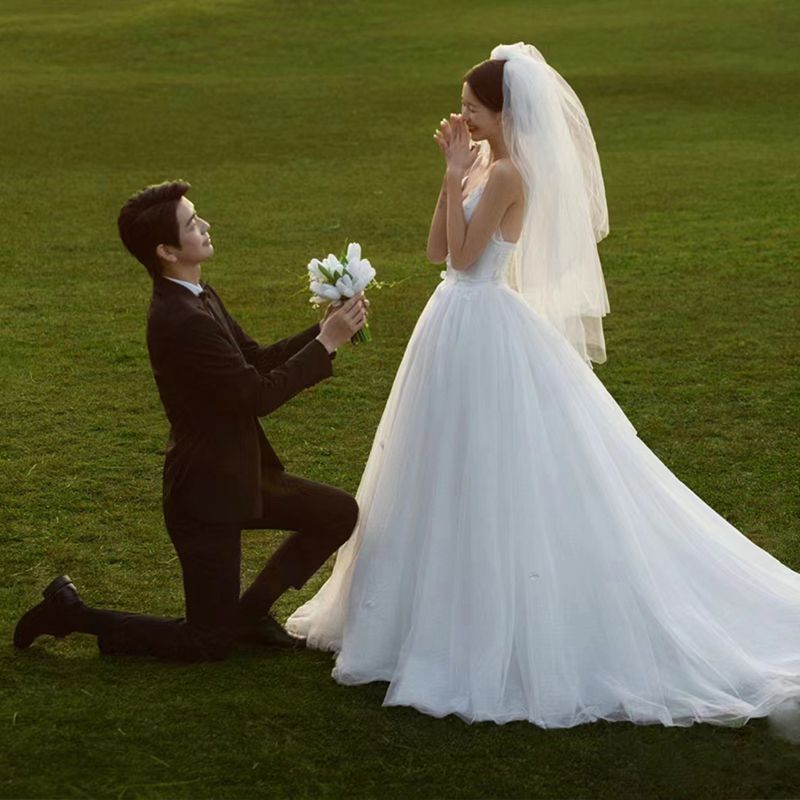 Bride's New Headpiece Double-Layer Wedding Dress White Veil Ultra-Long Photo Shoot Fairy-Style Simple Marriage Registration Props