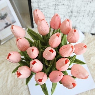 ��Ů�ļҾ����Ҳ��ϰl���滨�~�ٺ�������ĵ���R��ɏˮ���~���~