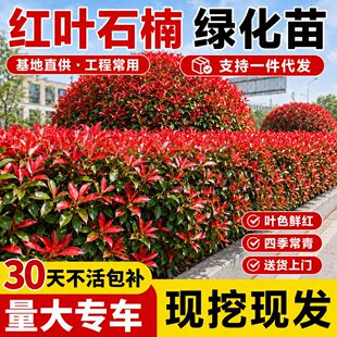 �t�~ʯ骘���ľ���⹤�̇����G��ͥԺ�ļ����໨�ܾGֲ����B�ͺ�