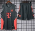 2526 Bayern Munich Black