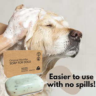 �羳������������坍����pet soap������100g