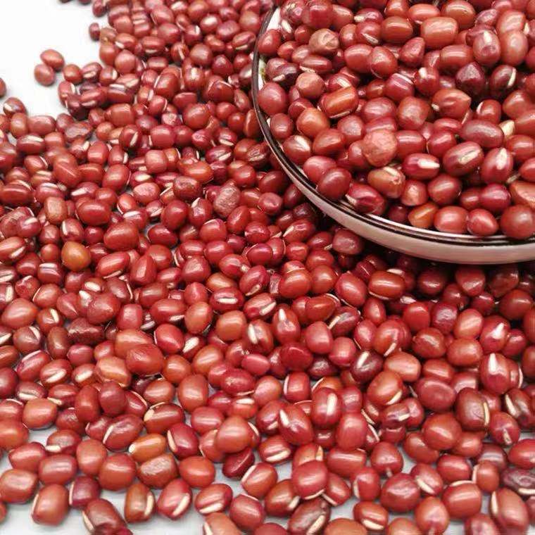 5斤红豆农家东北小红豆薏米红赤小豆五谷杂粮营养豆浆2斤|undefined