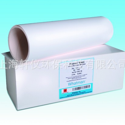 10401116 沃特曼 Protran  BA85 直径82mm 每盒50片硝酸纤维素膜