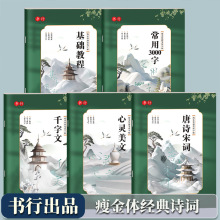 书行瘦金体钢笔书法字帖成年人初学者基础入门女生字体漂亮练字本