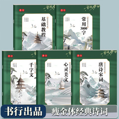 本の行のやせた金のペンの書道の字は成人の初心者の基礎の入門の女子学生のフォントのきれいな字の本を練習します。