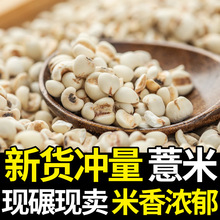 2023优质正宗贵州薏米新货5斤批发薏仁米大薏米仁五谷杂粗粮250g