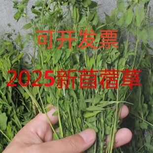 2025�ϻ���ޣ�ݺ����ޣ��������؈���m�i����ë��1KG������޲�