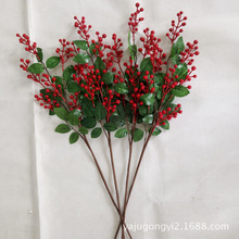 ��Ʒ���� �}�Q���� �}�Q�b���Ȼѩ����ɹ����N �ߴ��С�ɶ� ��