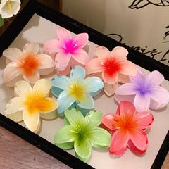 ヨーロッパとアメリカの国境を越えたアマゾン キャンディー色の卵の花 グラデーション クリップ レディース カラー ヘア クリップ ヘア クリップ