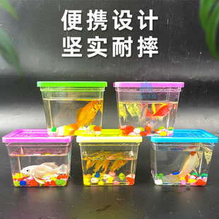 Dou Yu Cup Transparent Small Square Cup Plastic Fish Tank Turtle Box Children's Portable Toy Pet Box Night Market Stall Explosions