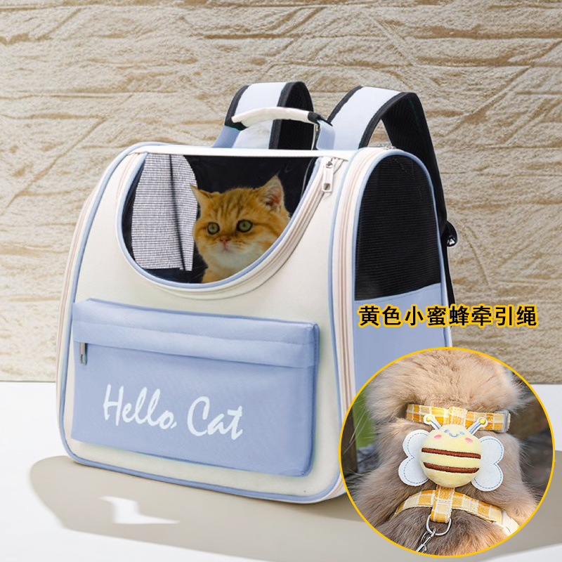 [야외 산책 고양이 조합] 맑은 하늘색 + 베스트셀러 꿀벌 목줄