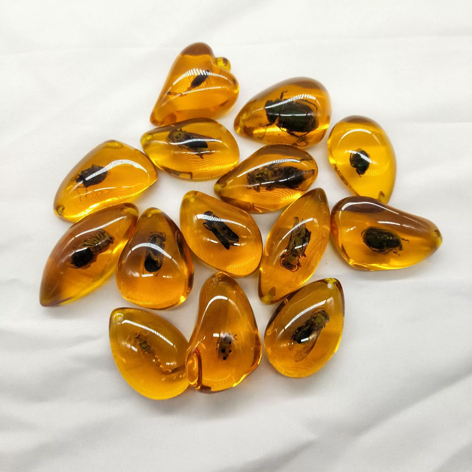 Amber sample, wholesale