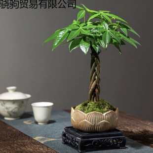 �lؔ����ؔ���F���D�\�҃�С�����k���ҿ��҃�����Gֲ����ȩ���B