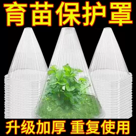 塑料盒;烘焙包装;其他礼品包装