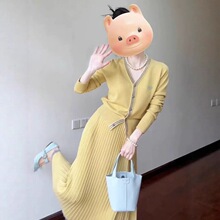 ��ʽС���L�Sɫᘿ��B��ȹ��Ů�߼���2025���ﴩ��һ�����b�Lȹ��