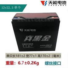 电池12V22.3安石墨稀真黑金6-DZF-22.3A