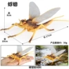 HFM Hollow Mayfly C1