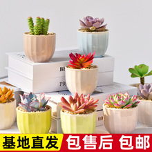 ֲMk҃մɻɐۺBbС[