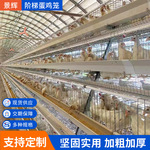 蛋鸡笼阶梯式框架养殖养鸡阶梯笼料线自动喂料线全自动上料设备