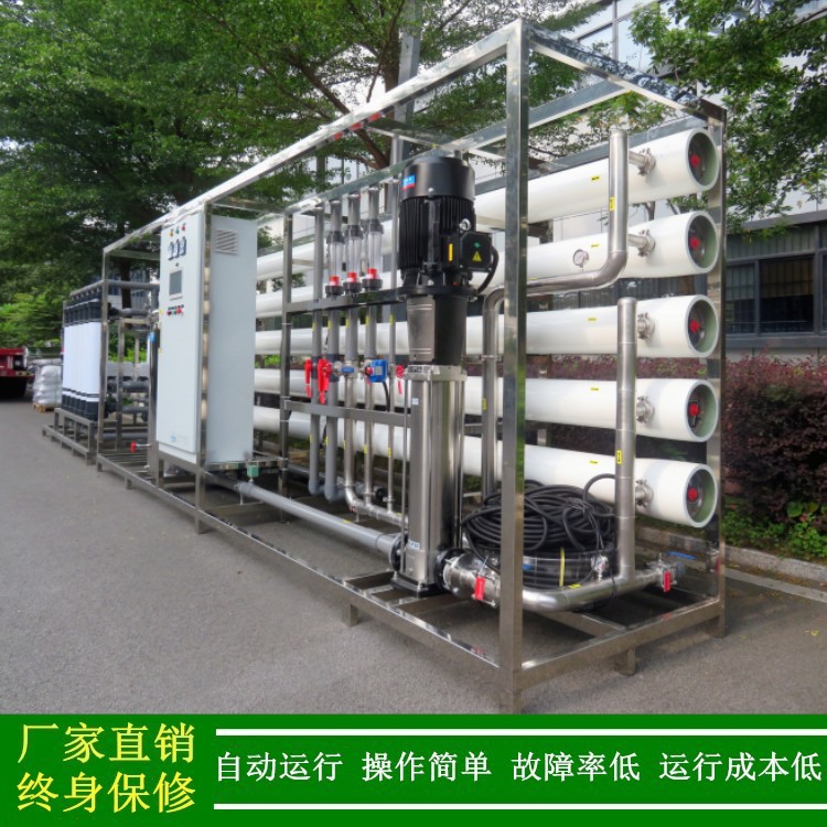 供应食品反渗透水处理设备饮料用纯水设备20t大型纯净水设备绿健