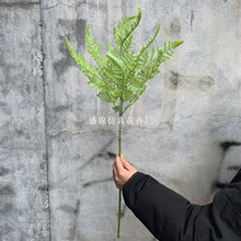 ������Gֲܛ�z�ָ��F��ާ���¾G�~���Ļ�c�Ɍ����̻�Y���û�