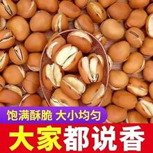 新货干炒蚕豆净重炒胡豆羊眼豆酥脆散装休闲原味零食批发无干燥剂