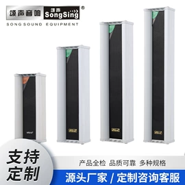 其他音箱;公共广播系统;蓝牙音箱