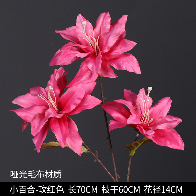 3 개의 작은 백합 업그레이드