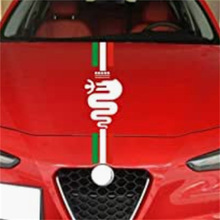 X-315�����ڰ���������ŷ������������� Alfa Romeo������������
