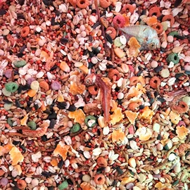 仓鼠生活用品;仓鼠主粮;鸟食