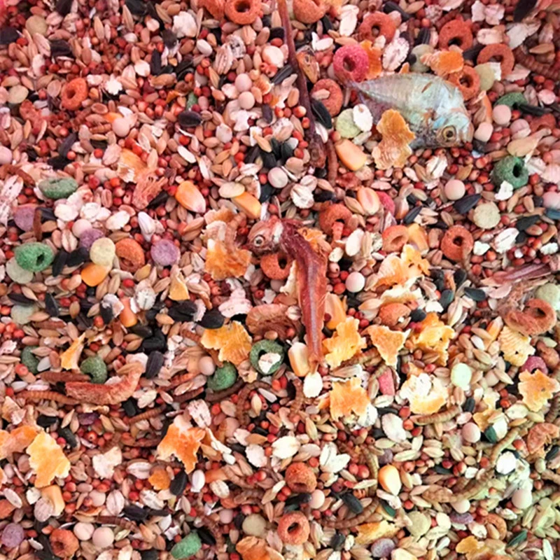 Оптовая продажа корма для хомяков, корма для морепродуктов, корма для грызунов, зернового корма для хомяков, основного корма для золотых хомяков из морепродуктов