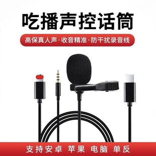 Wired Lapel Microphone Teaching Amplifing Mini Bee Audio Mobile Phone Live Mark Small Microphone Recording New