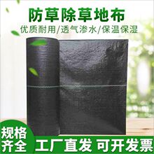 �ڲ��w��O�S��ֱ�N���ݲ��ز�ᔴ�����@͸��͸ˮ���ؼӺ�