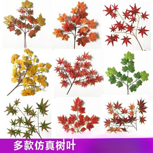 ����t���~�@�ֹ����b���ͩ���~�ә����y���~�＾��֦��ɽ���~