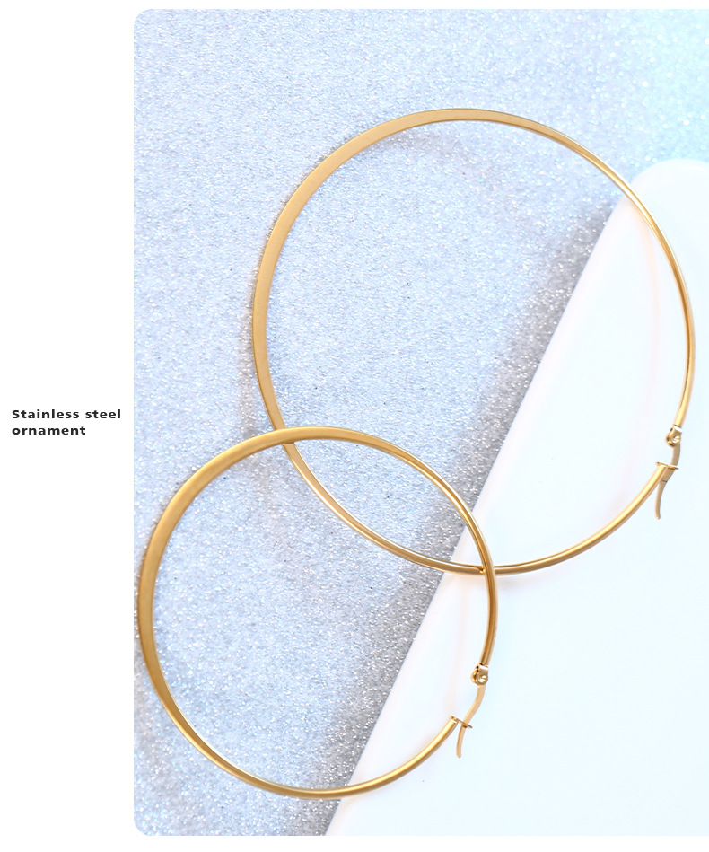 Fashion Circle Stainless Steel Plating Earrings 1 Pair