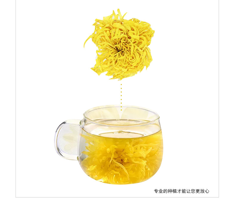Large Golden Silk Imperial Chrysanthemum Tea Gift Box Individually Wrapped Dried Chrysanthemum Flowers 12g quality and texture