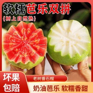 �V�����İŘ���ʯ��10�ﮔ�����r�������Ͱ͘������������Ř���