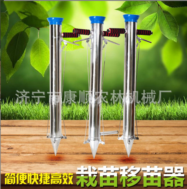 甘蓝蔬菜移栽机批发 甜菜栽苗器 白菜辣椒西蓝花移栽机图片