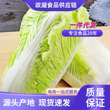 ɽ�|�H����ײ����r10����]�r���߲��r���ԷN�S�İ��Ĳ����w�ײ�