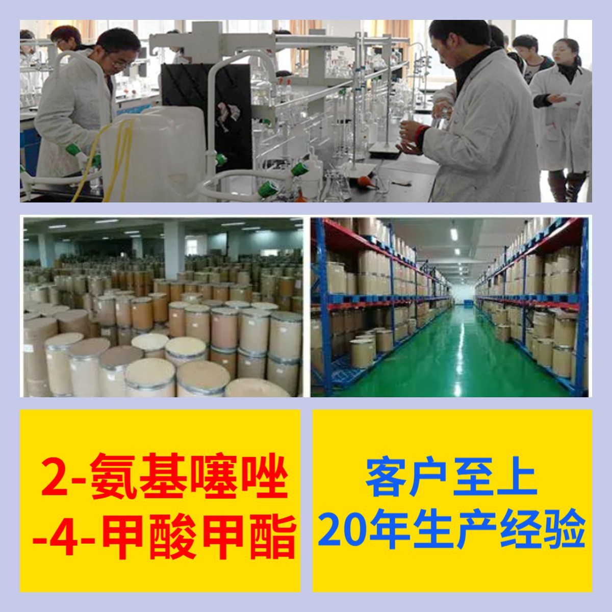 2-氨基噻唑-4-甲酸甲酯 20年企业品种齐全全国发货浙江广东福建