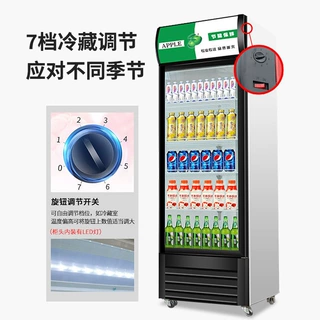 定制饮料展示柜单门双门三门冷藏柜商用保鲜柜立式啤酒柜跨境货源