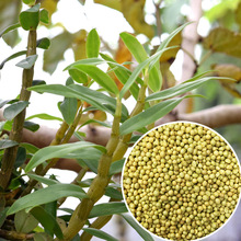 mFƤʯÿጷƤ~ƤጷMڊWG8-9LЧ