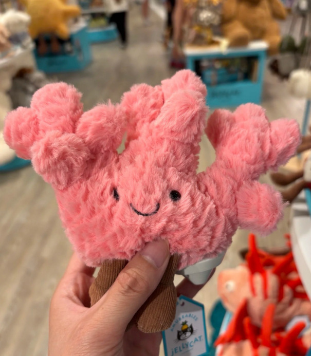 国产jellycat同款太阳熊冲浪板蛋尤克里里公仔毛绒玩偶礼物高颜值|undefined