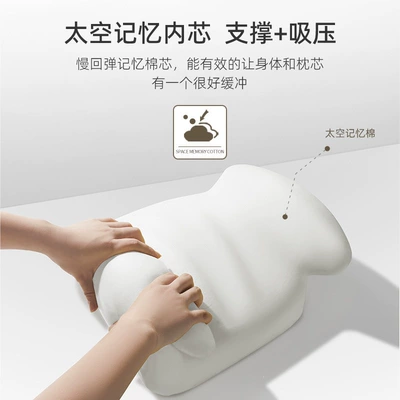 Pillow Neck Protector – Waist support