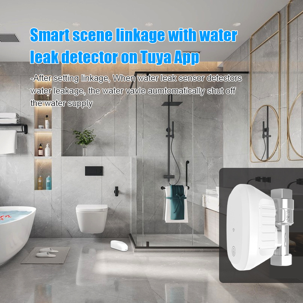 smart water valve (5)