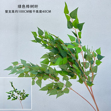 ���Ļ�c�Gֲ�ټٻ��~�ӻ�ˇ��ɭϵ���ߘ��~���~�Gɫ�b�