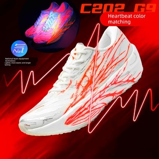 C202������������Ь���I̼���＾�ٶȜp���R����ܛ����Ь��ʿ�\��