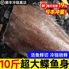 特级鲽鱼身深海鱼比目鱼鸦片鱼冷冻生鲜鱼类碟鱼段鲽鱼身一件代发